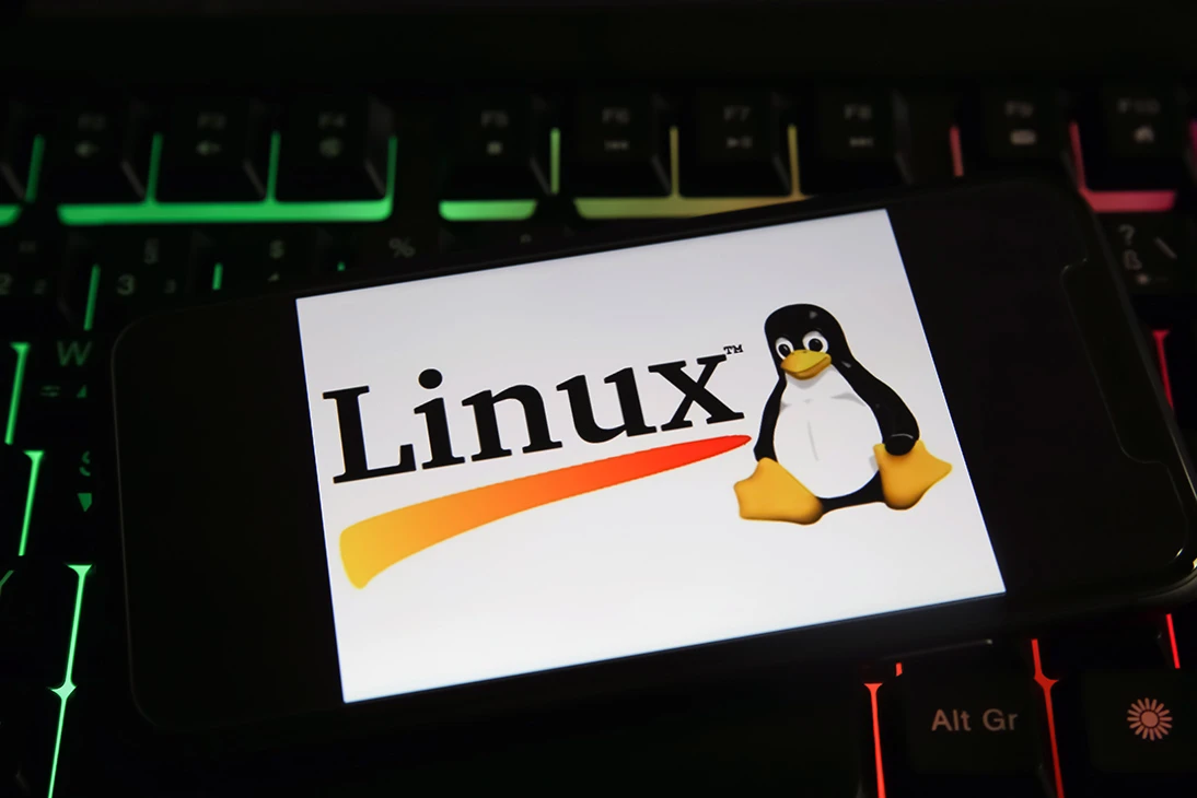 Linux 内核漏洞利用 SLUBStick 可以任意读取和写入内存 媒体